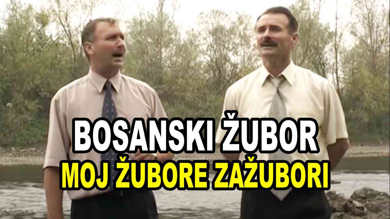 BOSANSKI ŽUBOR - MOJ ŽUBORE ZAŽUBORI (TEKST + VIDEO)