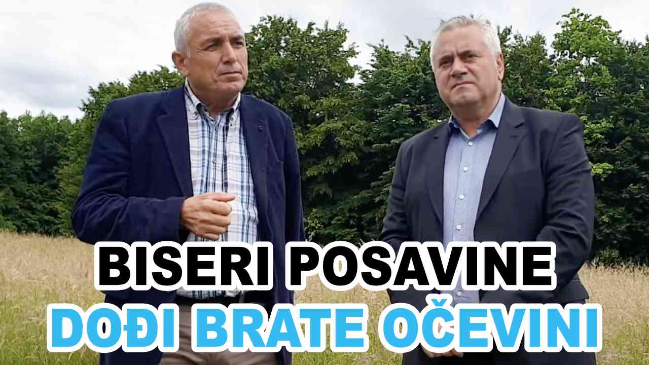 BISERI POSAVINE - Dođi brate očevini (TEKST + VIDEO)